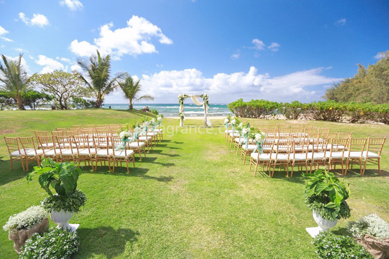 Destination Wedding in Hawaii_5프라그랑스