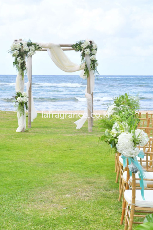 Destination Wedding in Hawaii _2프라그랑스